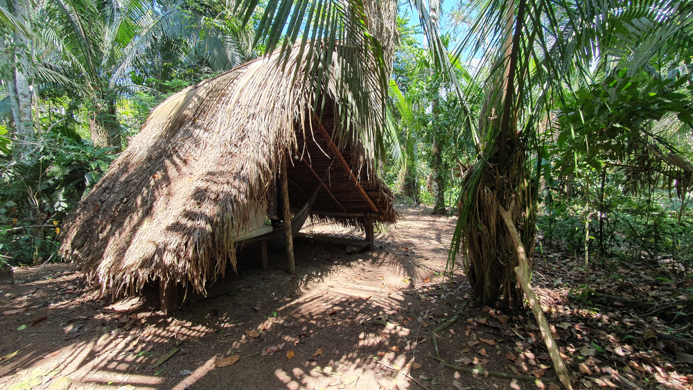 Tambo Unterbringung im Dschungel von Peru bei einer Pflanznediät mit Yage und anderen Heilpflanzen